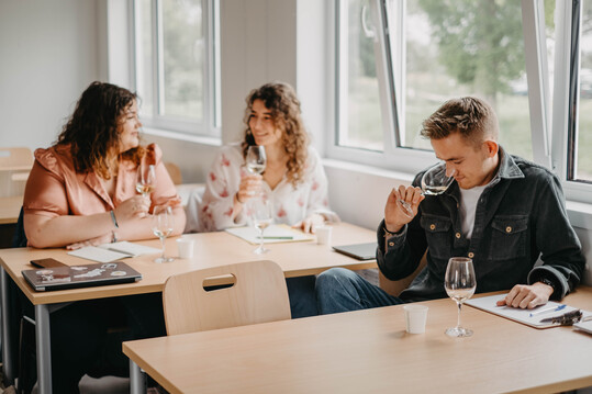 Der deutsch-franzsische berufsintegrierende Master of Viticulture & Enology (MoVE) wird derzeit von dem Weincampus Neustadt und der Universit de Haute-Alsace (UHA) entwickelt. Er wird im Wintersemester 2024/2025 als Master of Science mit Doppelabschluss starten.