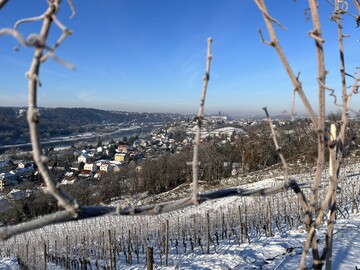Meien an der Schsischen Weinstrae kann das ganze Jahr ber besucht werden. Die touristische Infrastruktur zwischen Pirna und Diesbar-Seulitz ist gut ausgebaut. In der Nebensaison empfiehlt sich dennoch vorherige Reservierung.