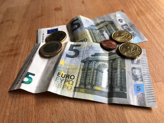 In diesem Sonderhinweis finden Sie Informationen zu verschiedenen Frderungen im Weinbau. 