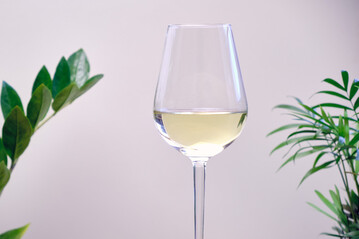 Der Dry January zeigt Wirkung: Zu Jahresbeginn 2024 wurde deutlich weniger Alkohol gekauft als in den Vormonaten.