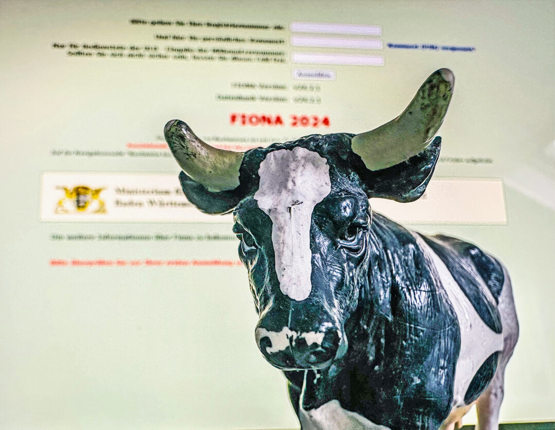 Der Flcheninformation und Online-Antrag (FIONA) fr das Jahr 2025 startet im Mrz.