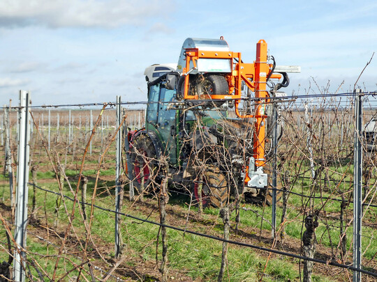 Der vine-catcher Rebholzzieher SVC.