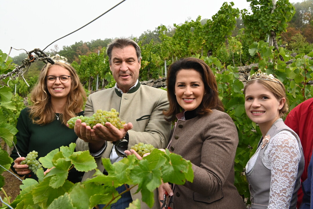 Die Weinknigin Eva Brockmann, Ministerprsident Dr. Markus Sder, Ministerin Michaela Kaniber und Weinprinzessin Anna-Lena Werb erffnen die frnkische Weinlese.
