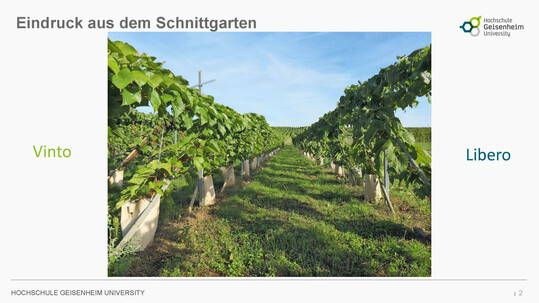Ein Eindruck aus dem Schnittgarten.