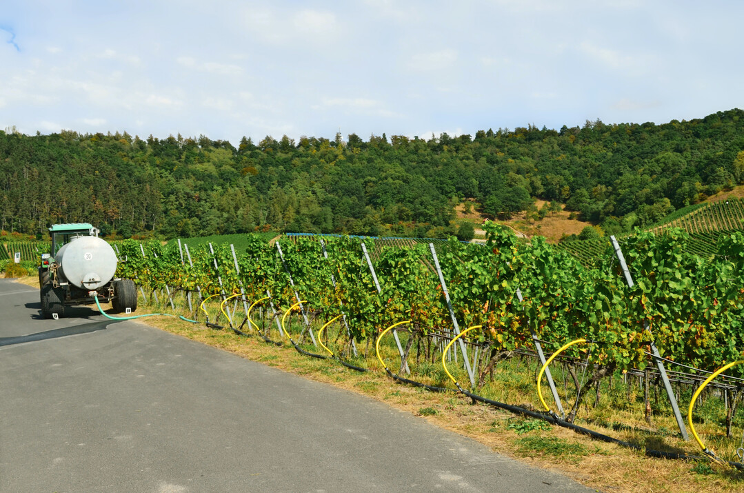 Im Projekt „Effiziente Bewässerung im Obst- und Weinbau“ wird ein digitales Wasserhaushaltsmodell weiterentwickelt und in die webbasierte ALB-Bewässerungs-App integriert, die landwirtschaftliche Betriebe bei der Planung ihrer Bewässerung unterstützt.