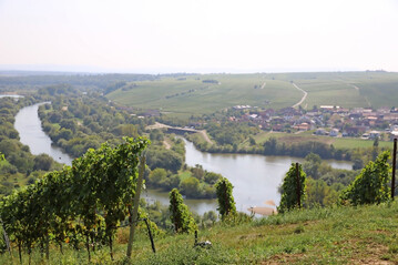 Die unterfrnkische Wein-Main-Region, hier von der Vogelsburg Volkach, mit Blick auf die Mainschleife.