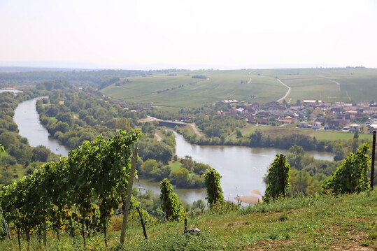 Die unterfränkische Wein-Main-Region, hier von der Vogelsburg Volkach, mit Blick auf die Mainschleife.