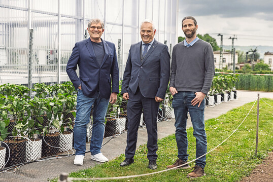 Die drei Co-berufenen Professoren (v. l.): Prof. Dr. Gross, Prof. Dr. Marthe, Prof. Dr. Trapp.