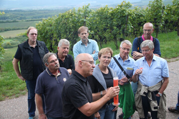 Ziel des Lehrgangs ist die Qualifizierung von weinkompetenten Gstefhrern fr die Weinregion Wrttemberg.