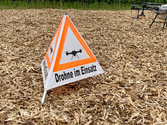 Zur Bekmpfung von Pilzkrankheiten im Weinbau sind Drohnen im Einsatz. 
