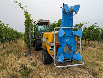 Der Weinbauverband begrt die aktuellen politischen Entscheidungen rund um Pflanzenschutzmittel.