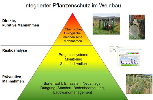 Die Pyramide des integrierten Pflanzenschutzes.