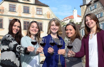 Von links: Jennifer Glaser, Anja Gemmrich, die amtierenden Weinhoheiten Stefanie Schwarz und Annekatrin Gauger, Mara Walz