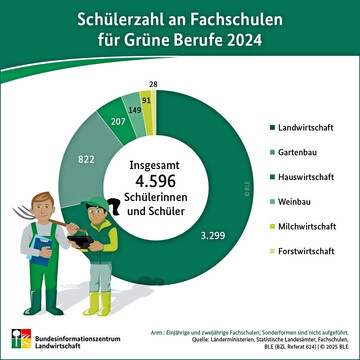 Die Schlerzahl an Fachschulen fr Grne Berufe 2024. 
