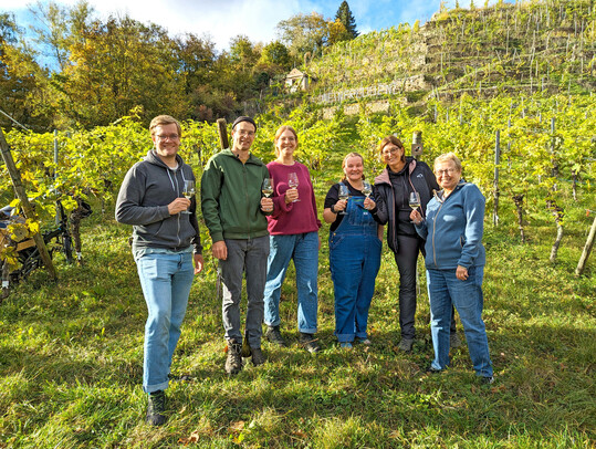 Florian und Theresa Wachter (2. und 3. v. l.) sind die Gründer von Weinfrequenz. Hier stehen sie im Weinberg mit einigen Mitgliedern der solidarischen Landwirtschaft.