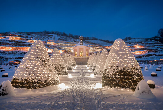 Schloss Wackerbarth im Winter.