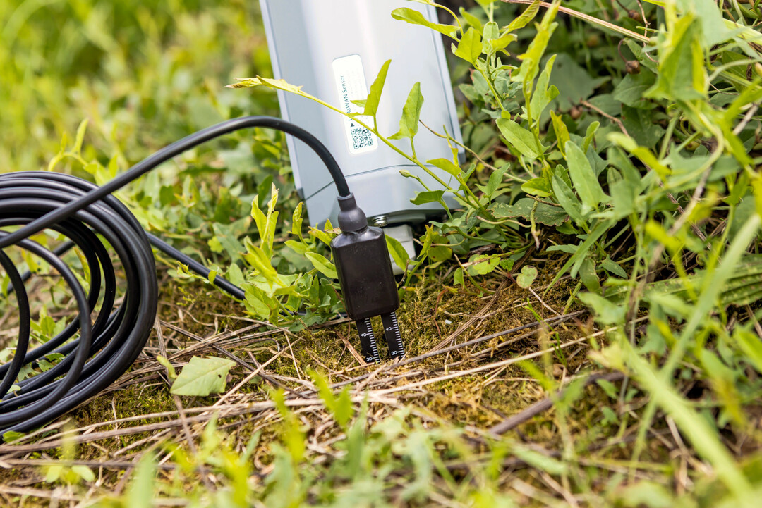 Insgesamt sechs dieser Sensoren erfassen die Bodenfeuchte in Hammers Marbacher Weinberg und liefern die Daten direkt ins digitale Dashboard des Winzers.