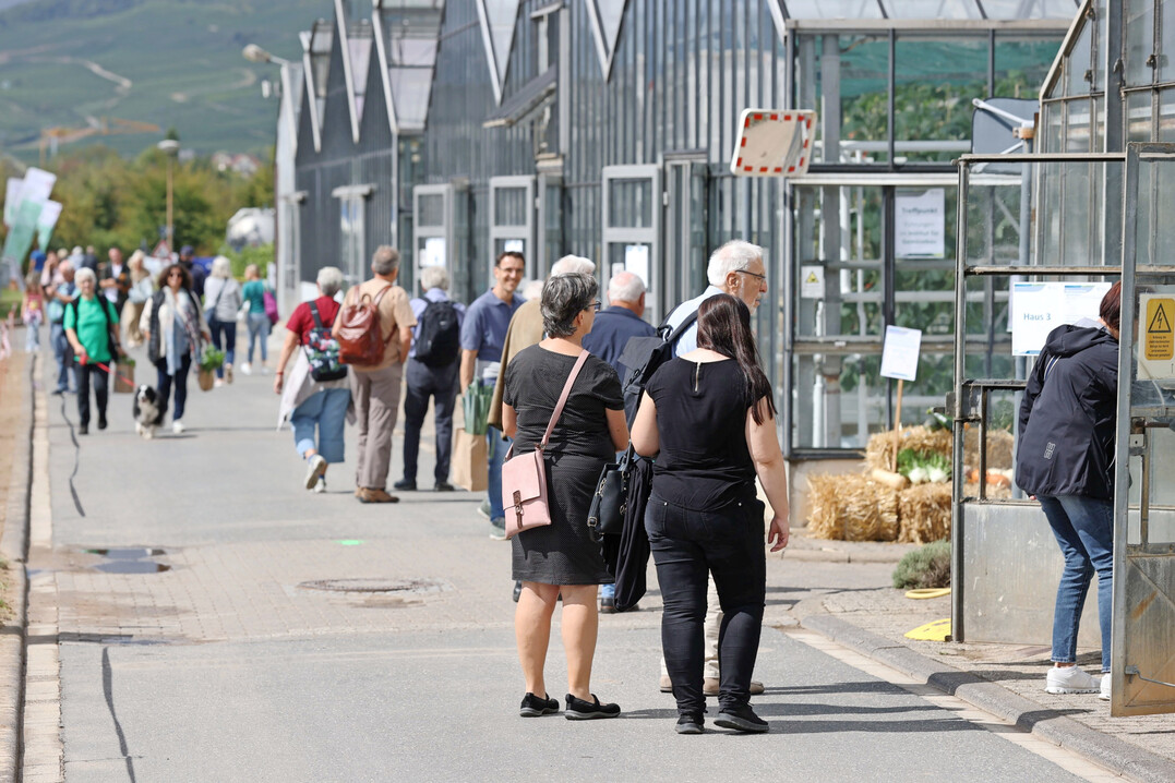 Besucherrekord beim Open Campus der Hochschule Geisenheim.