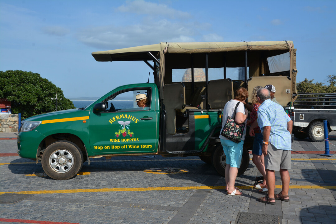 Die Hop on Hop off Wine Tour bringt die Gste zu den Weingtern. 
