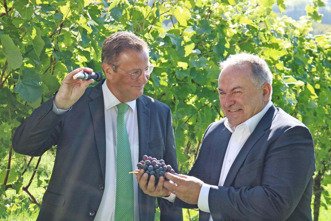 Minister Peter Hauk und Dietrich Rembold im Weinberg der Familie Schwab in Bretzfeld.