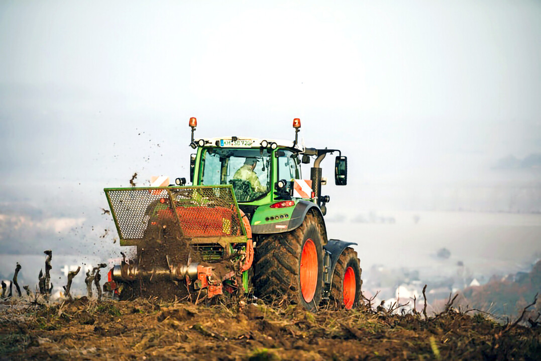 Rebflche zu verringern soll Betriebskosten senken. Zunchst einmal fllt aber Zeit- und Arbeitsaufwand an  und die kosten.