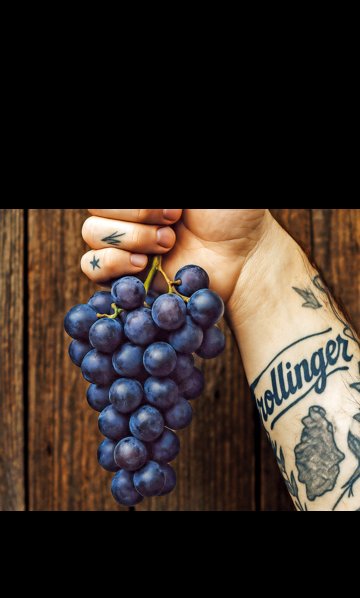 Im Trollinger steckt Zukunft: Fr Marktforscher, Marketingexperten und Sensoriker liegt Wrttembergs traditionelle Rebsorte bei einem jungen Publikum derzeit voll im Trend. Jetzt stellt sich die Frage: Wer macht was draus?