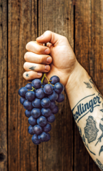 Im Trollinger steckt Zukunft: Für Marktforscher, Marketingexperten und Sensoriker liegt Württembergs traditionelle Rebsorte bei einem jungen Publikum derzeit voll im Trend. Jetzt stellt sich die Frage: Wer macht was draus?