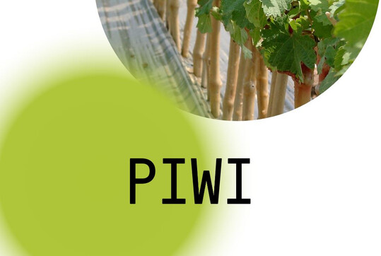 In der Piwi-Broschre Strategien zur Kupfer-Reduktion im Weinbau sind viele Informationen rund um die pilzwiderstandsfhigen Rebsorten zu finden.