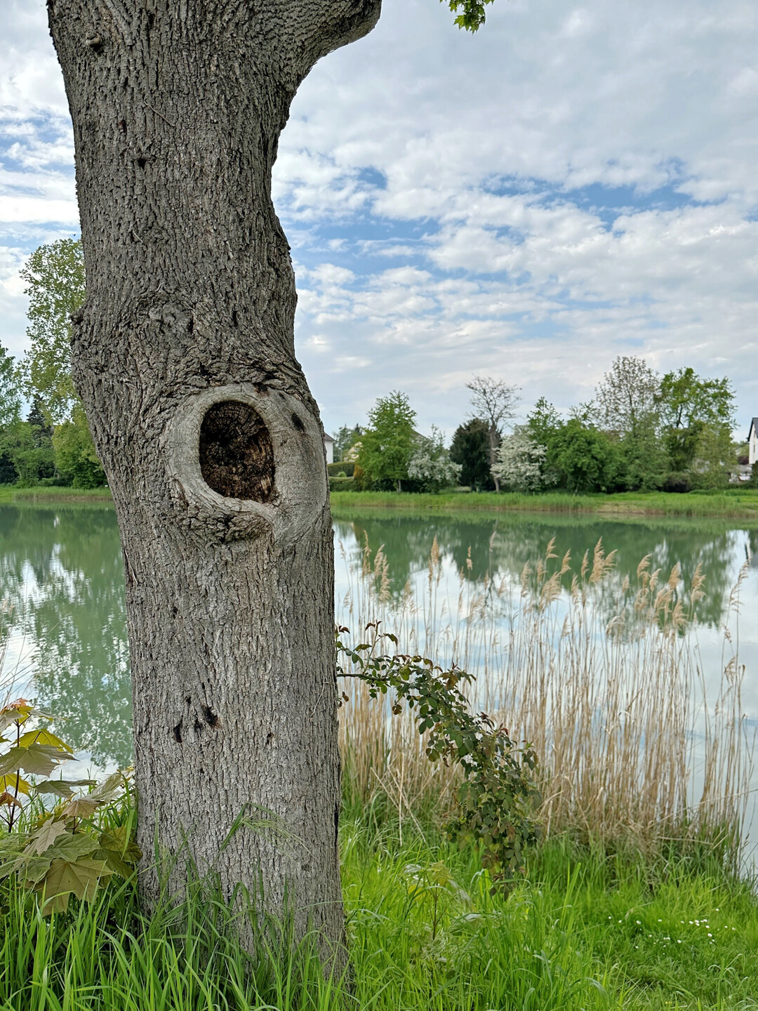 Gewsser- und Grundwasserschutz: Die Schutz-und Ausgleichsverordnung (SchALVO) wurde aufgrund neuer rechtlicher Vorgaben auf Bundes- und Landesebene angepasst.
