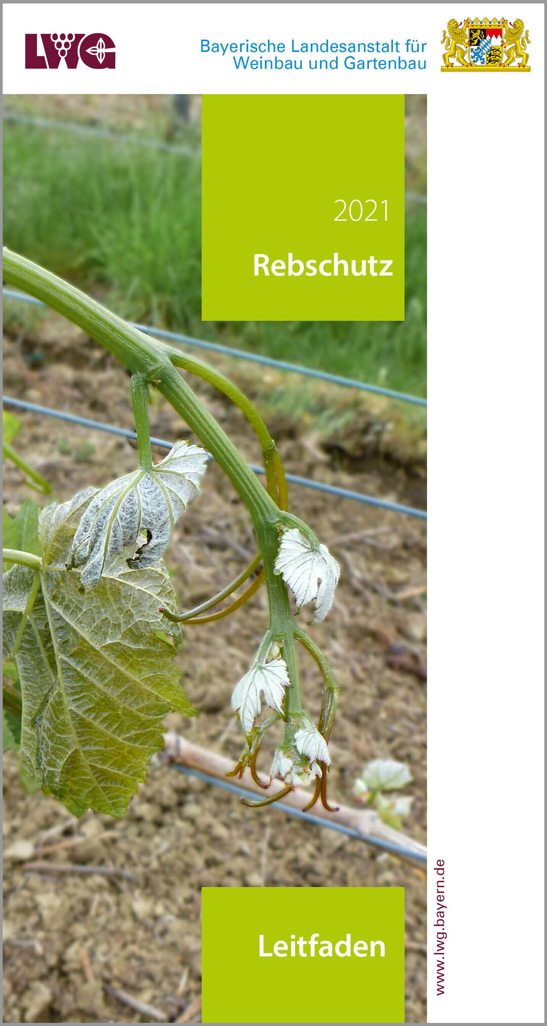 Allen Grund zum Feiern: Der fr die Weinbausaison 2021 erschienene Rebschutzleitfaden ist bereits die 30. Ausgabe des traditionellen Nachschlagewerkes, das auch ber die bayerischen Grenzen hinaus genutzt wird.