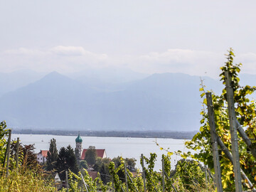Der Weinbau am Bodensee sorgt nicht nur fr geschmacklichen Hochgenuss, sondern auch fr optische Highlights: Besondere Orte, besondere Momente, deren einzigartigen Geschichten die Weinerlebnisfhrer erzhlen.