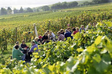 Jetzt steht die Belohnung an. Nach ungewhnlich frhem Lese-Ende in Deutschland knnen die Erntehelfer nun entspannen und genieen