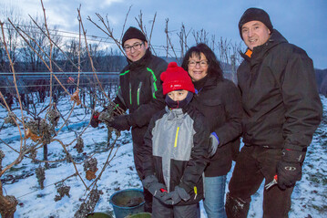 Brgermeister bei der Eisweinlese am Heuchelberg