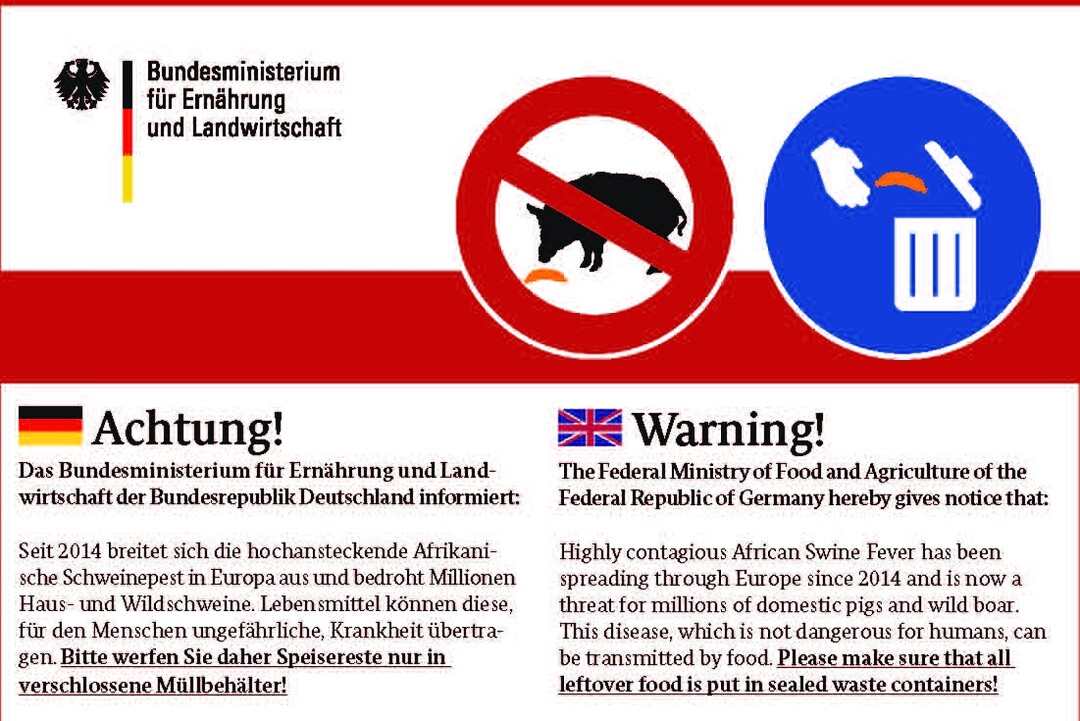 Auch Winzer können dazu beitragen, dass die Afrikanische Schweinepest in Deutschland verhindert wird. Merkblätter für Saisonarbeitskräfte sollen nun darauf hinweisen, mitgebrachte Lebensmittel aus den Heimatländern richtig zu entsorgen.