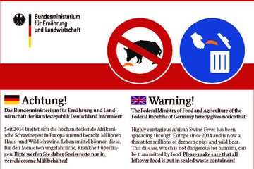 Auch Winzer knnen dazu beitragen, dass die Afrikanische Schweinepest in Deutschland verhindert wird. Merkbltter fr Saisonarbeitskrfte sollen nun darauf hinweisen, mitgebrachte Lebensmittel aus den Heimatlndern richtig zu entsorgen. 