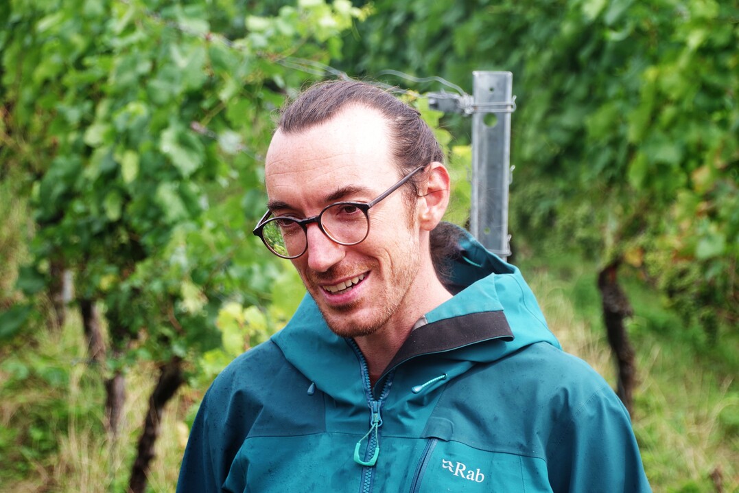 Wissenschaftler Jakob Hrl von der Universitt Hohenheim: Die ganzjhrige Schafbeweidung sehe ich als einen Baustein, um den zuknftigen Herausforderungen im Weinbau zu begegnen.