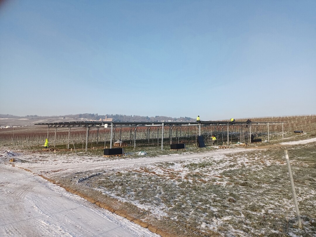 Die Montage der PV-Module auf der Agri-PV Anlage im Dezember 2022.