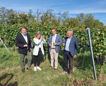 Weinknigin Julia Noll prft das Mostgewicht, whrend Geschftsfhrer Holger Klein, Minister Peter Hauk (Mitte) und Weinbauprsident Rainer Zeller auf den Jahrgang 2023 anstoen.