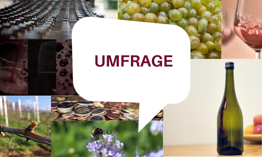 Umfrage