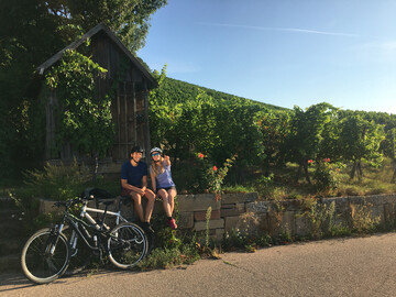 Der Wrttemberger Weinradweg ist eine interessante Destination fr Ein- und Mehrtagestouristen.