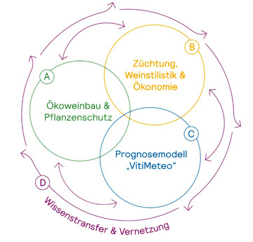 Ein Fach- und Institutionen �bergreifender Kraftakt: das sieben Jahre w�hrende Forschungsprojekt Vitifit.