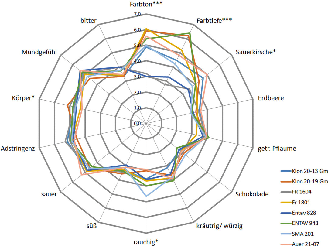 Diese Sensorikspinne macht auf einen Blick deutlich, wo die geschmacklichen St�rken und Schw�chen der einzelnen Sp�tburgunderklone liegen.