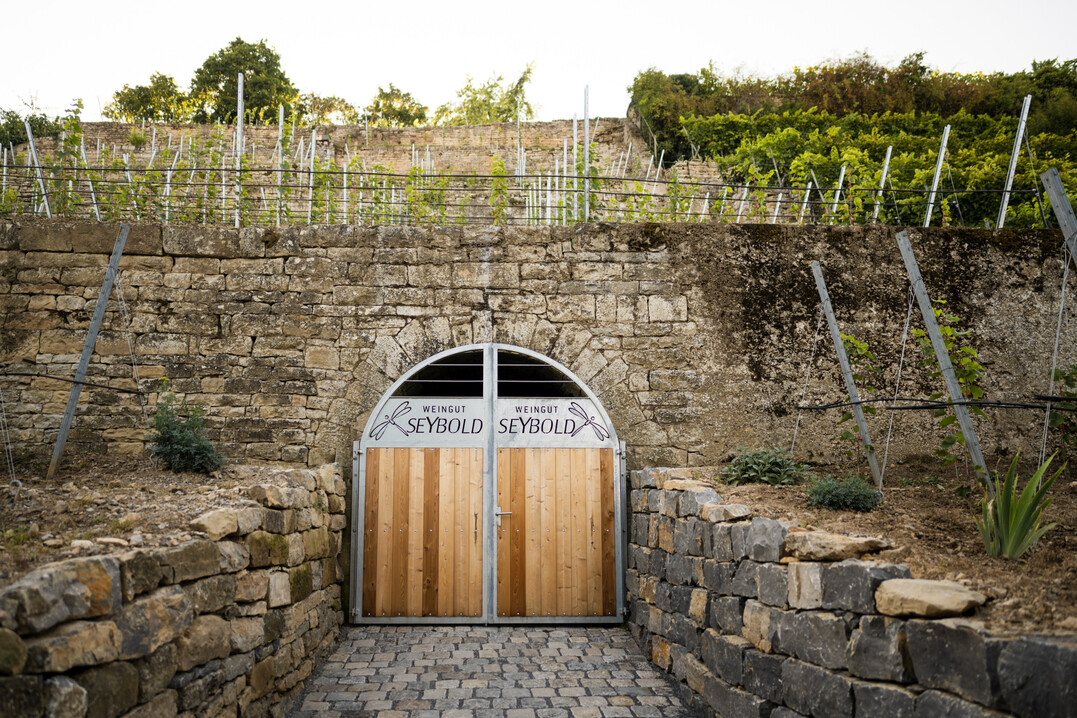 Sonderpreis Kleindenkmale 2023: Historischer Eiskeller vom Weingut Seybold in Lauffen am Neckar.