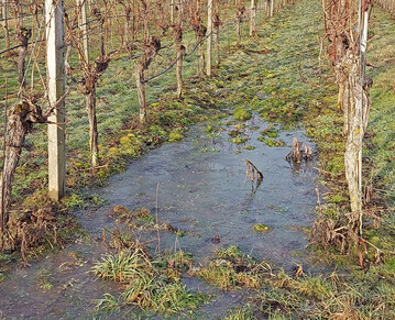 Das versteht sich von selbst: Ist der Boden �berschwemmt, wasserges�ttigt, gefroren oder schneebedeckt, verbietet sich das Ausbringen von Hilfsstoffen.