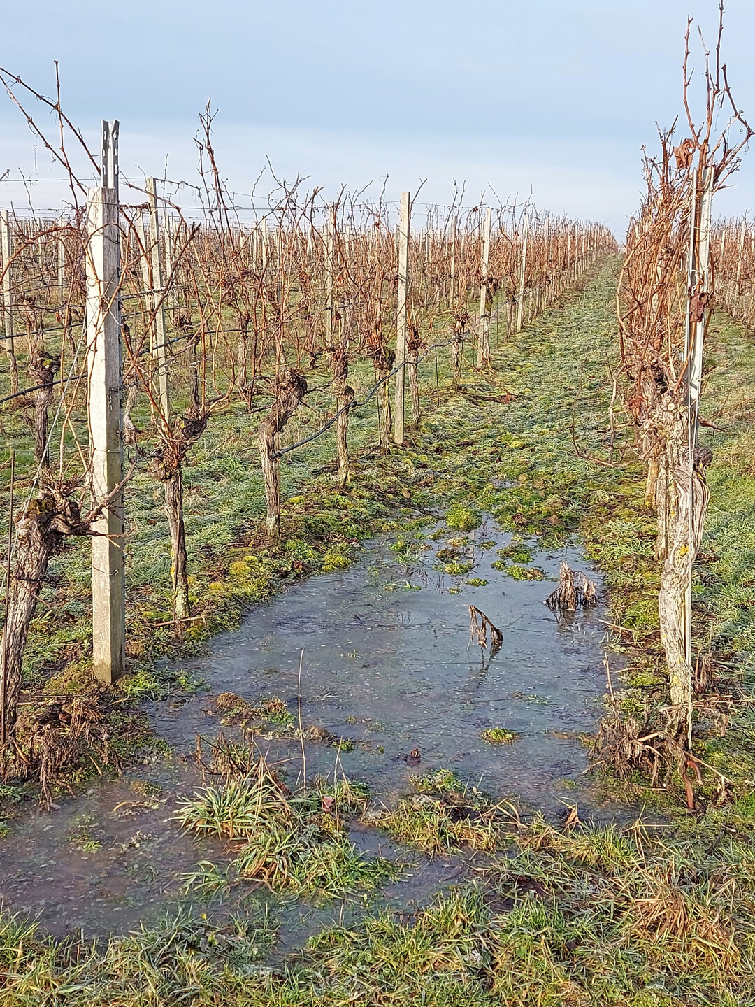 Das versteht sich von selbst: Ist der Boden �berschwemmt, wasserges�ttigt, gefroren oder schneebedeckt, verbietet sich das Ausbringen von Hilfsstoffen.