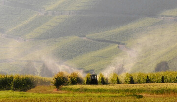 <i>Dieser Anblick muss nicht mehr sein: Durch falsche Wahl und Einstellung der Ger�te ruinieren noch immer zu viele unsachgem��e Pflanzenschutzma�nahmen den Ruf eines gesamten Berufsstandes.</i>