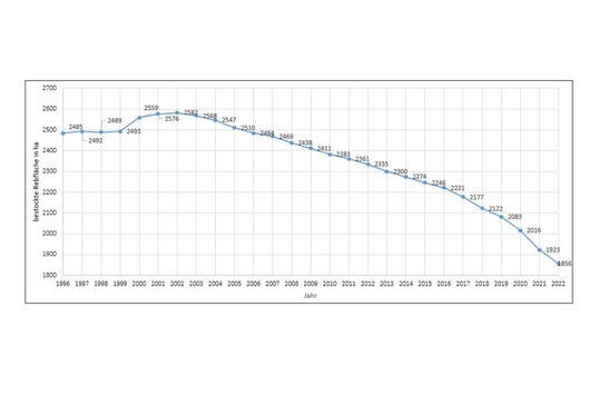 Abbildung 1: Entwicklung der bestockten Trollinger-Rebfläche in Württemberg von 1996 bis 2022.
