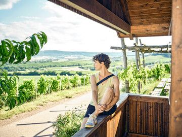 Weintourismus treibt die regionale Wertschöpfung. Sie geht aber nicht allein auf auswärtige Besucher zurück. Einheimische und Tagesgäste sind ein wesentlicher Wirtschaftsfaktor.