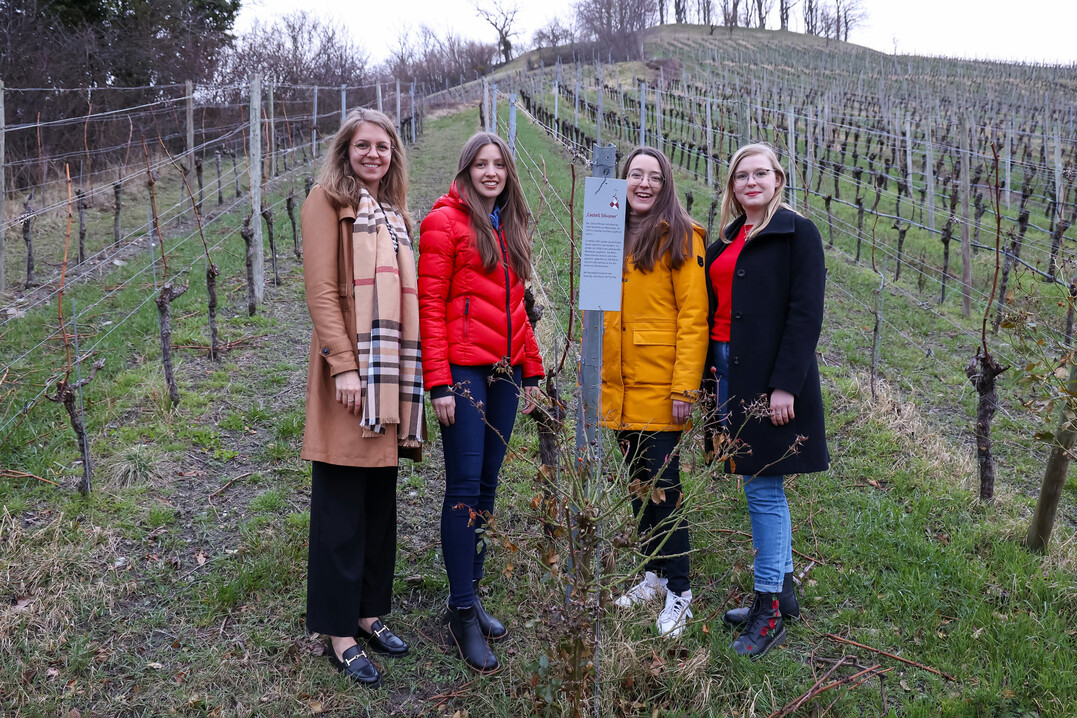 Am Ort der ersten Silvaner Pflanzung im Jahr 1659 in Franken (v. l.): Eva Brockmann, Anne Gümpelein, Lisa Lehritter und Laetitia Stockmeyer.