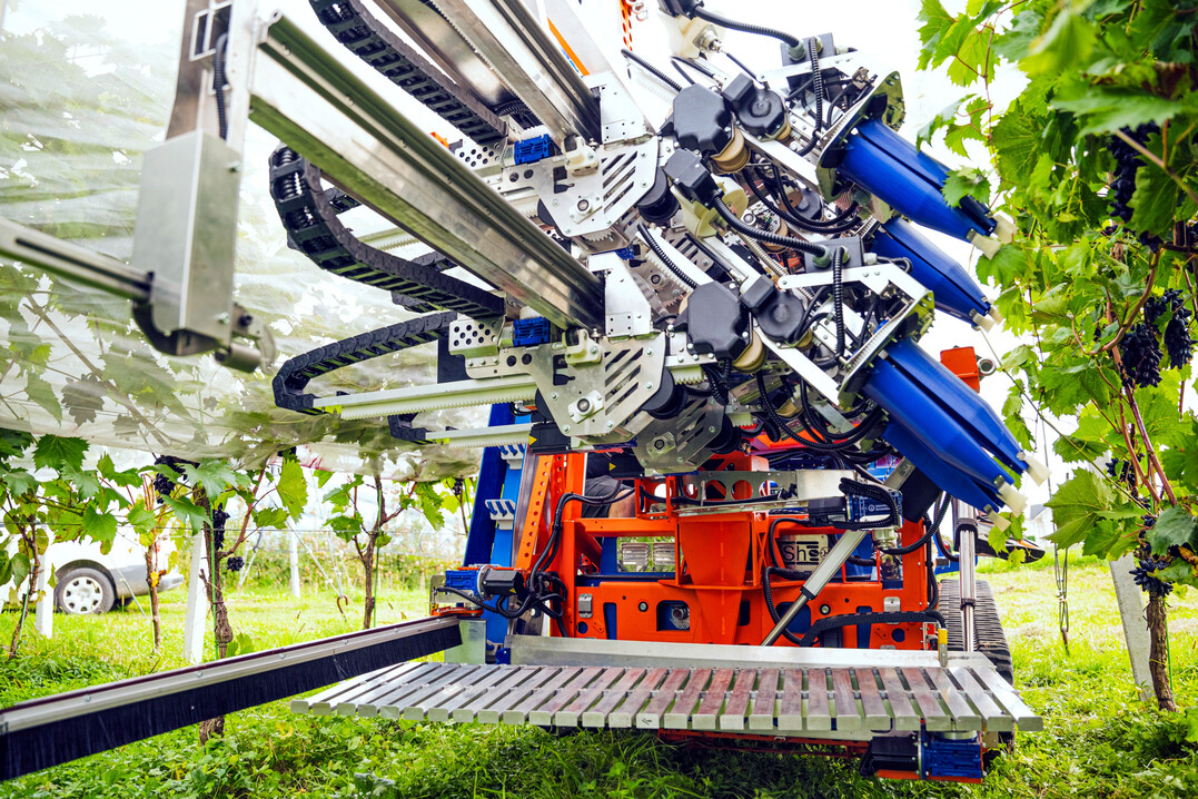Dieser �Grape Picker� ist laut Hersteller zukunftsweisend: Dieses Erntemodul von PeK Automotive befindet sich derzeit noch im Prototypenstadium, wird aber als Wegbereiter f�r eine mechanisierte, autonome Traubenernte angepriesen.